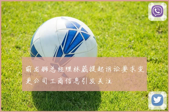 前龙狮总经理林葳提起诉讼要求变更公司工商信息引发关注